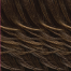 MS.AUNTIE TORI WIG | ms-auntie-tori-wig