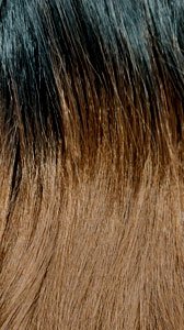 ILLUZE 4X4 LACE BOHO BOX BOB