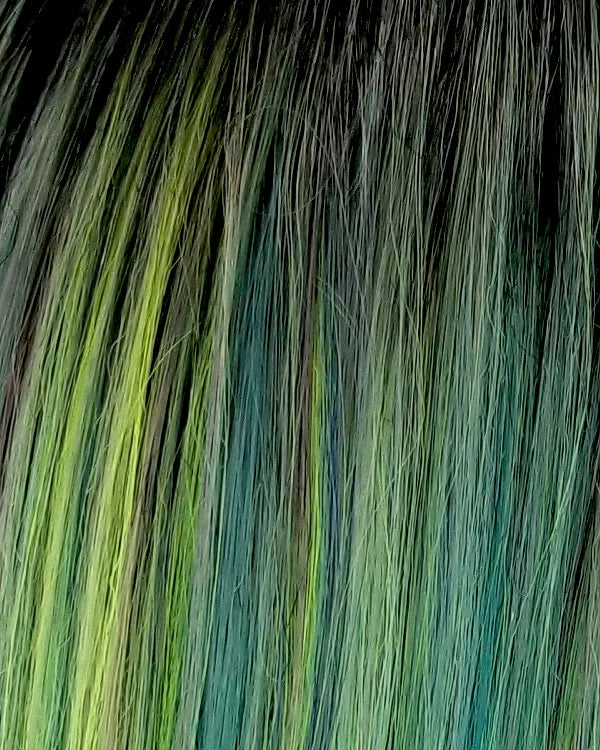 MAGIC LACE I & FREE PART 301